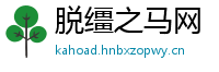 脱缰之马网